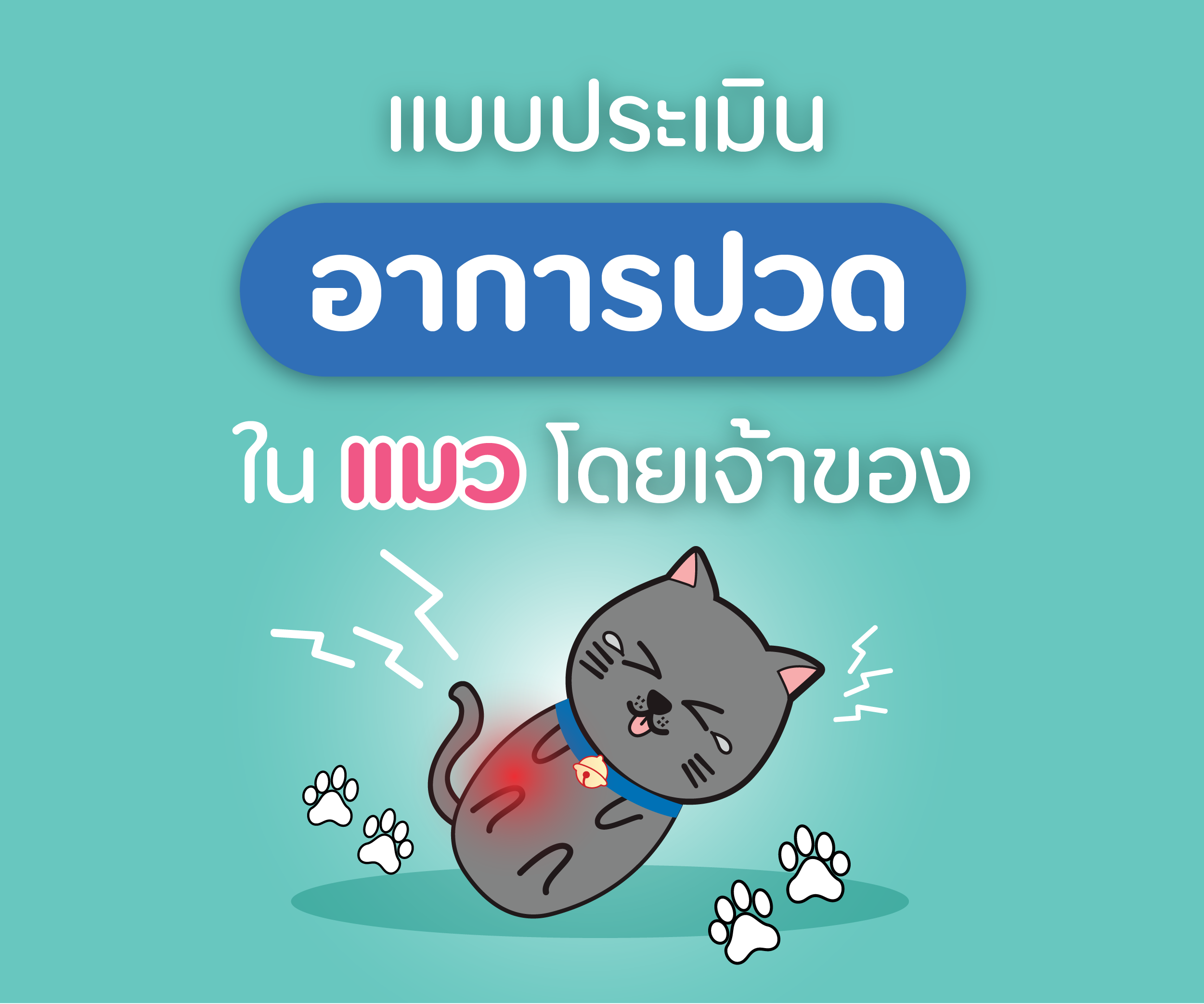 แบบประเมิน